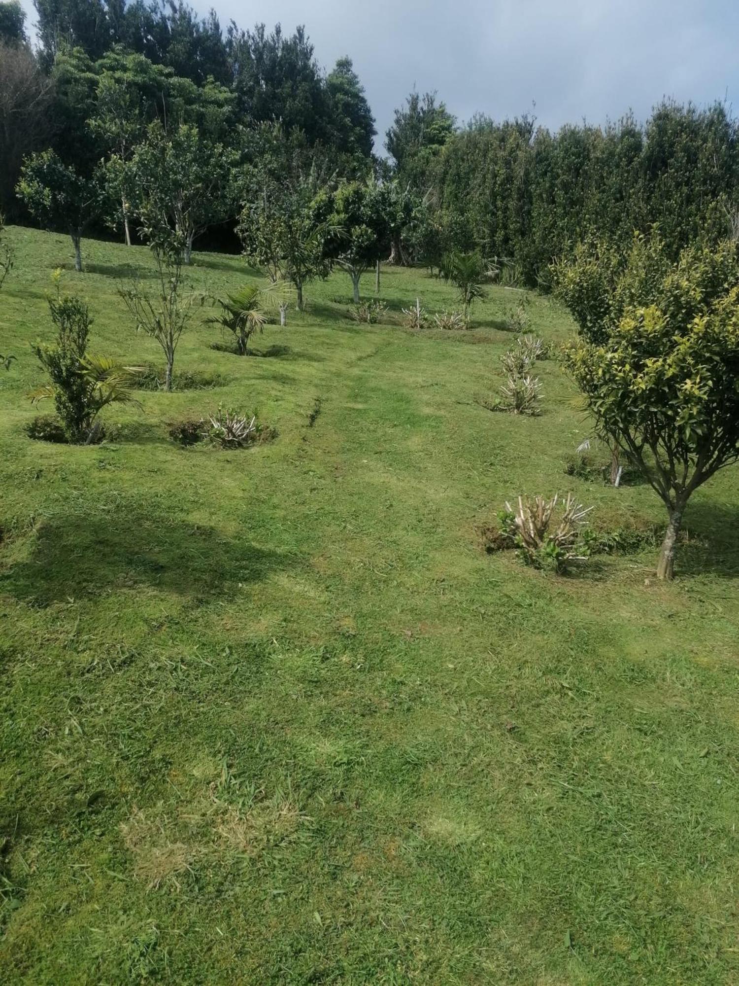 Casa Do Castanheiro - Nordeste, Açores Chalet Nordeste (Azores)
