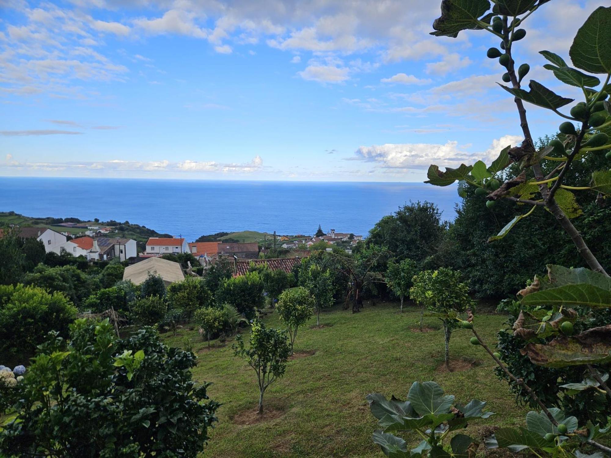 Casa Do Castanheiro - Nordeste, Açores